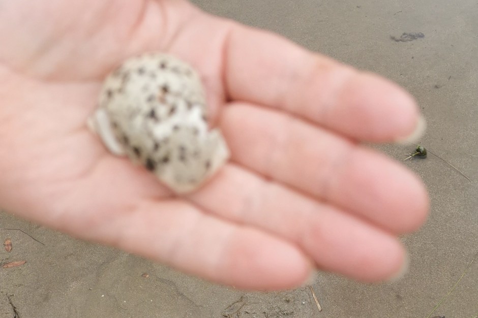 IMG_20191117_191804_1